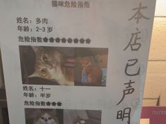 -逃脱反斗城沉浸剧情密室(北京路店)