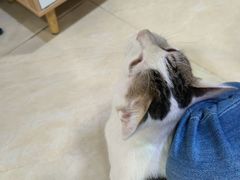 -玉椰林甜品店(创始店)