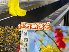 -广州白天鹅宾馆