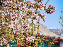 -元大都城垣遗址公园