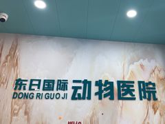 -东日国际动物医院·CT·心脏专科(桃源分院)