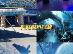 -洛阳龙门海洋馆