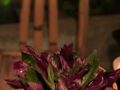 -毛辣果·酸(OHA复兴西路店)