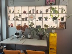 -Sips&Lick茶兰咖啡(五道口店)