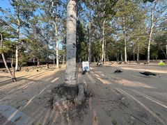 -秦皇岛野生动物园