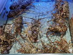 -阿伟海鲜楼·福建菜(延寿店)