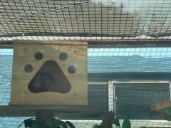 -青藏高原野生动物园