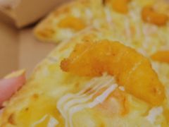-达美乐比萨(国瑞北路店)