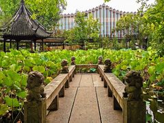 -上海醉白池公园