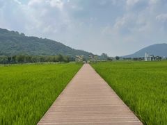 -艾米稻香小镇