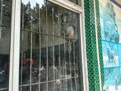 -保定市动物园