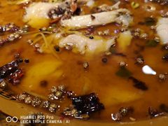 水煮鱼-老码头黑皮肘子锅包肉(文政街店)