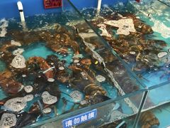 -老船长海鲜加工店(景苑山水店)