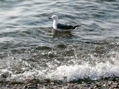 -泊石湾海滨浴场