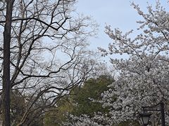 -涵家味土菜馆·徽州一绝臭鳜鱼(三河古镇店)
