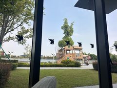 -东方美谷JW万豪酒店·The lounge大堂吧