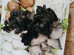 -芦月轩羊蝎子(北蜂窝店)