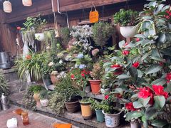 -龙姐私房菜(和顺古镇店)