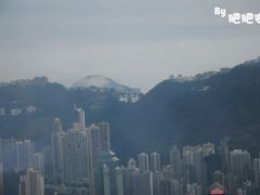 -天龙轩(香港丽思卡尔顿酒店)