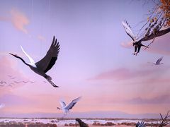 -中国湿地博物馆