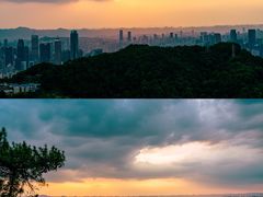 -南山植物园