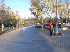 -大兴滨河森林公园