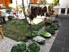 -翕庐小苑