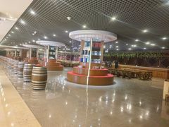 -紫轩葡萄酒庄园