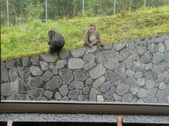 -土司宴
