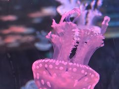-广州海洋馆