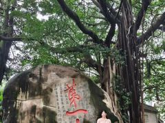 -乌山风景区