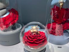 -ROSEONLY诺誓(广州K11店)
