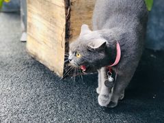 -春笙食堂.丼饭拉面寿司(GOGO新天地店)