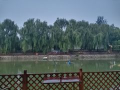 -尚庄度假村·庭台树下·户外烧烤·团建CS·轰趴营地(上庄水库店)