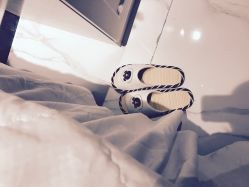 -三只熊皮肤管理中心