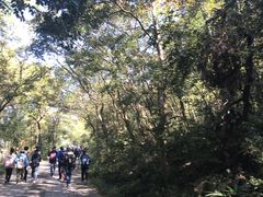 -紫金山索道-售票处