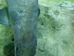 -华夏文旅西安度假区