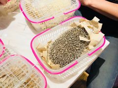 -藦茜花园宠物主题亲子互动体验馆(国顺东路店)