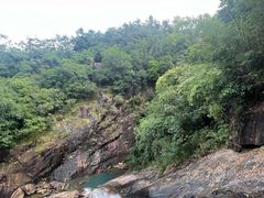 -广州白江湖森林公园