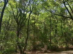 -昭山风景名胜区