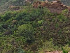 -蟠龙山长城景区