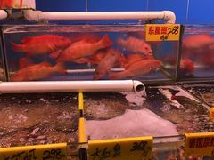 -四海之家(蛇口店)
