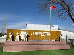 -宠乐会宠物乐园