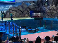 -福州罗源湾海洋世界旅游区