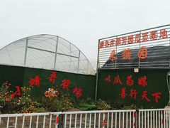 -庞各庄翠芳园西瓜蔬菜基地采摘园