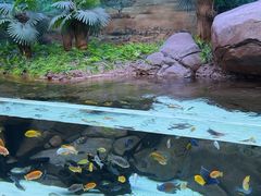 -上海海洋水族馆