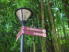 -叶家花园