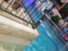 -重庆海昌加勒比海水世界