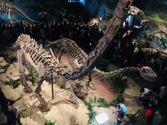 -自贡恐龙博物馆