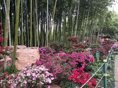 -荆川公园